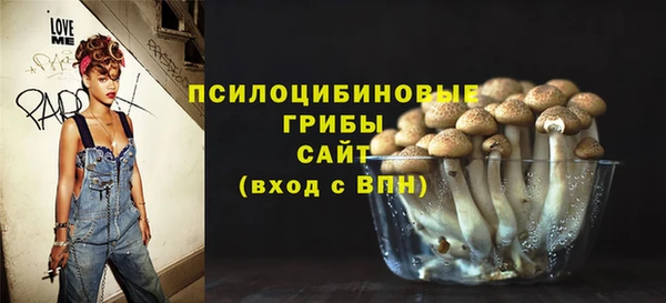 ПСИЛОЦИБИНОВЫЕ ГРИБЫ Армянск