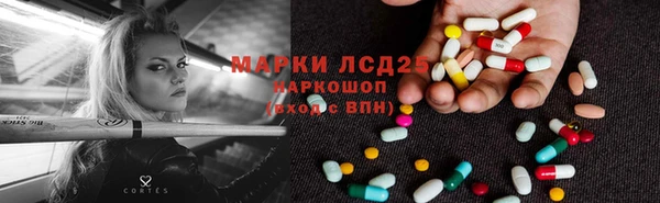ПСИЛОЦИБИНОВЫЕ ГРИБЫ Армянск