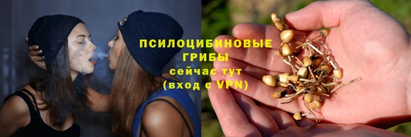 ПСИЛОЦИБИНОВЫЕ ГРИБЫ Армянск