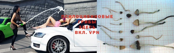 MDMA Premium VHQ Липки