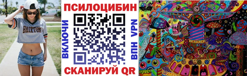 купить  сайты  Бавлы  Псилоцибиновые грибы Cubensis 