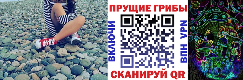 Псилоцибиновые грибы Cubensis Бавлы